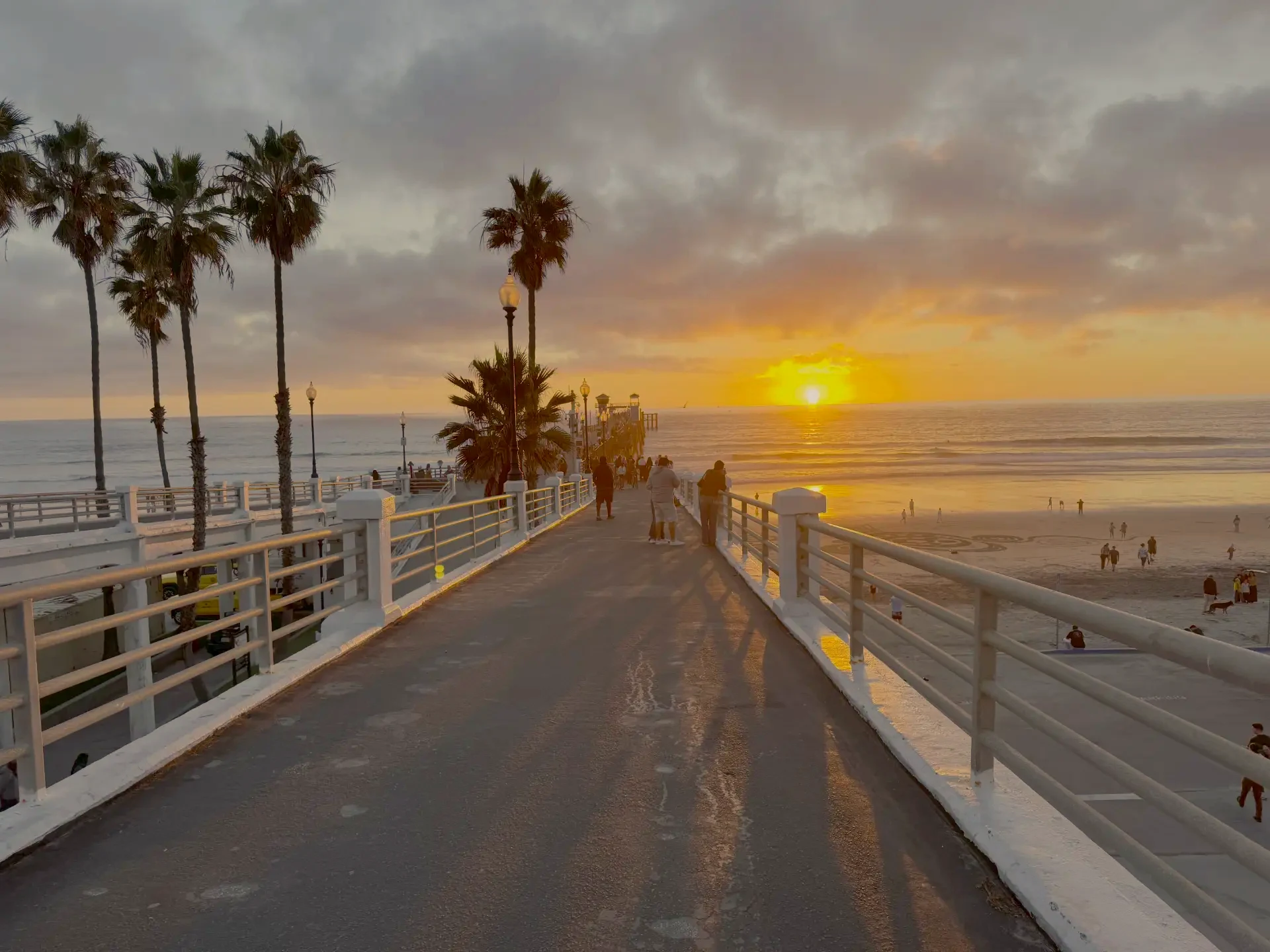 Oceanside pier at sunset with palm trees and the Pacific Ocean